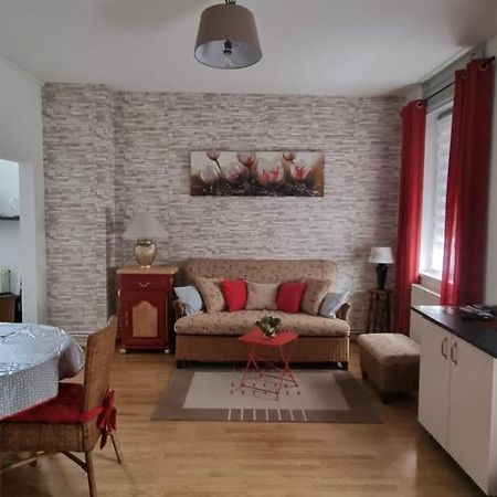 appartement meublé romain Niederbronn-les-Bains Exterior foto
